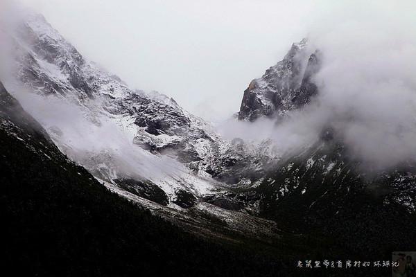 逃离马儿森林